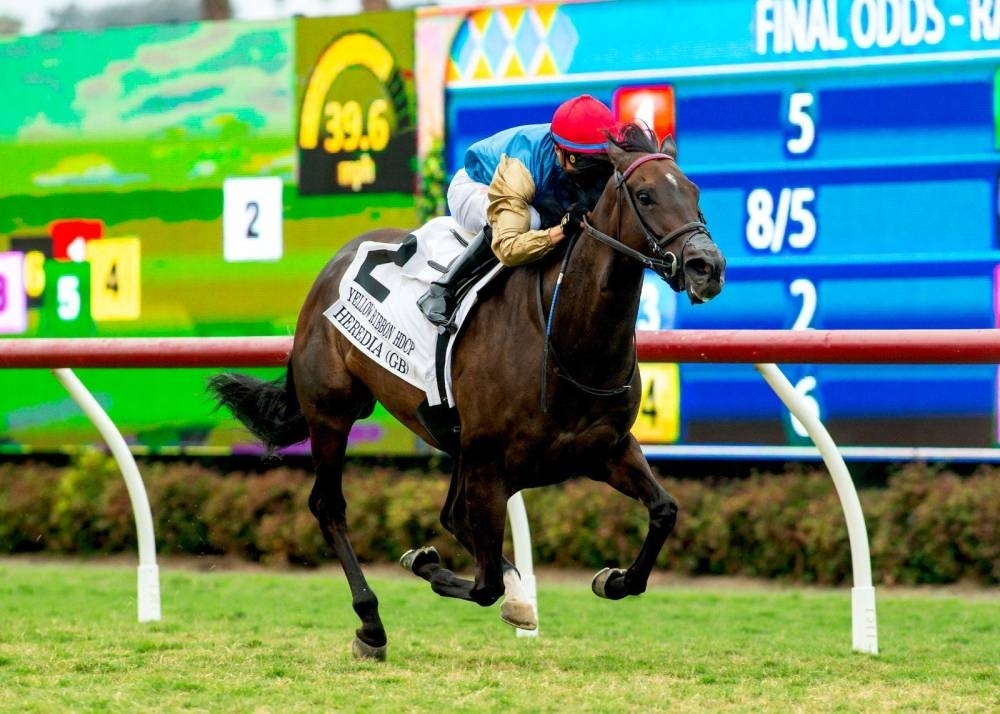 Wathnan Racing's Heredia shines in Gr.2 Yellow Ribbon Handicap at Del Mar