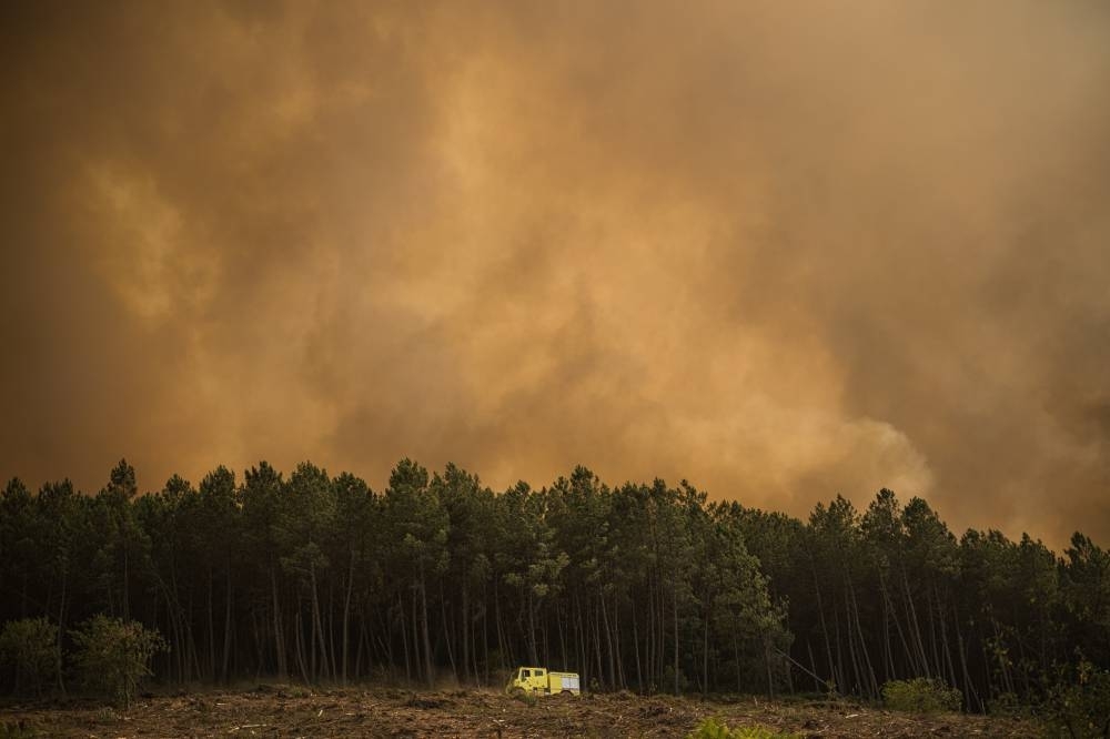 Record area of land burnt as Spain battles worst forest fires in decades