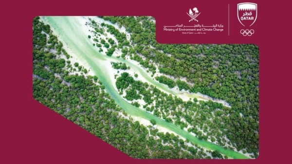 وزارة البيئة: استضافة أولمبياد 2036 فرصة لدمج الرياضة مع مفاهيم الاستدامة