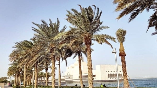 الأرصاد تحذر من رياح قوية على الساحل وفي البحر الليلة