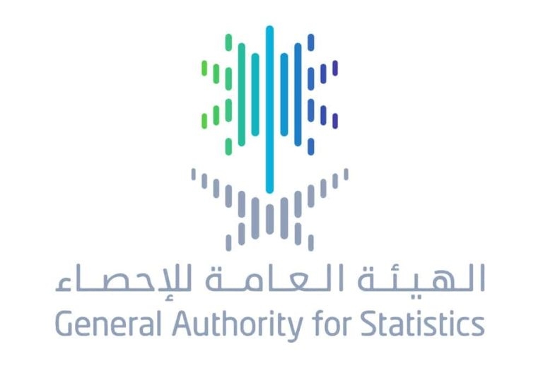 'الإحصاء': 15.6% ارتفاع حصيلة الاقتصاد الرقمي من الناتج الإجمالي