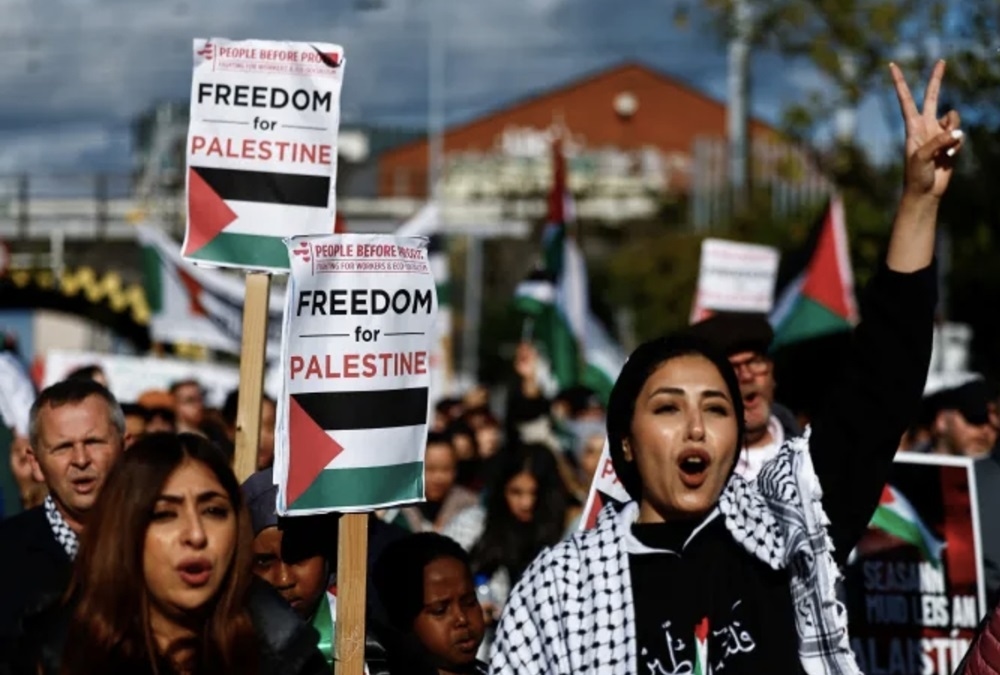 التضامن مع غزة.. حراك عالمي يكسر الحدود ويُسقط الأقنعة
