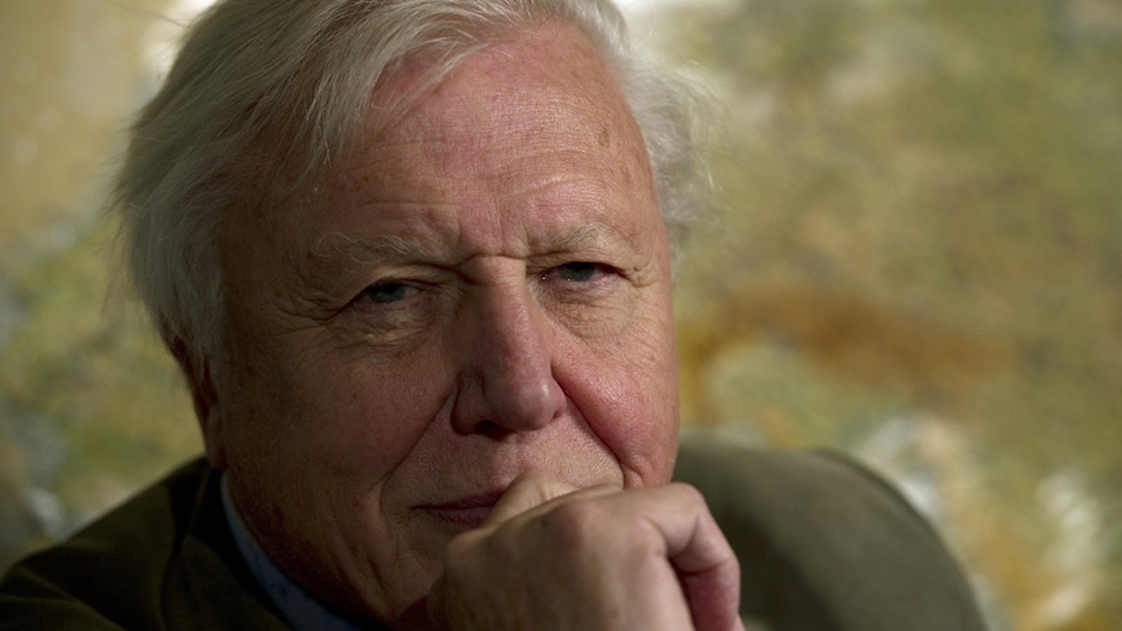 How David Attenborough reshaped how we see the natural world