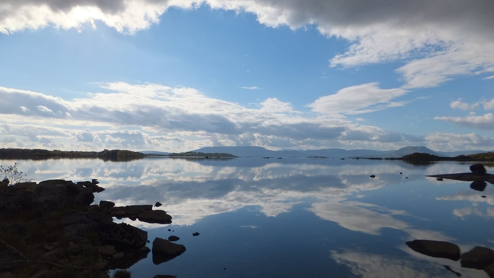 5 snapshots of life in 1600s Ireland (including a crocodile)
