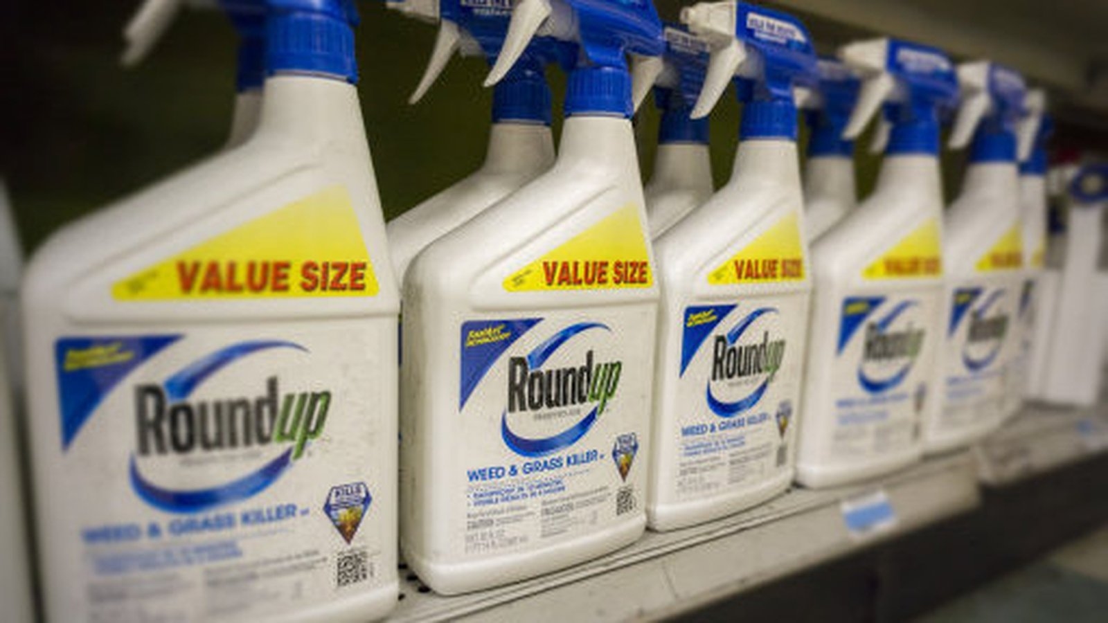 Bayer adds $1.37 billion to Roundup litigation reserves, raises 2025 sales forecast
