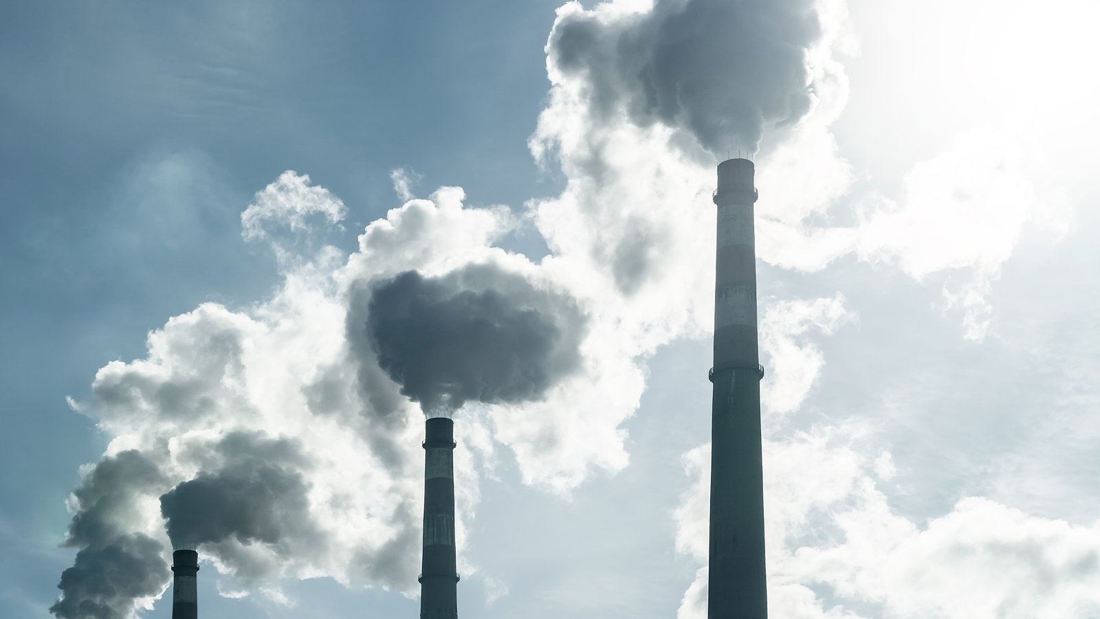 EPA report lets cat out of the bag on greenhouse gas emissions