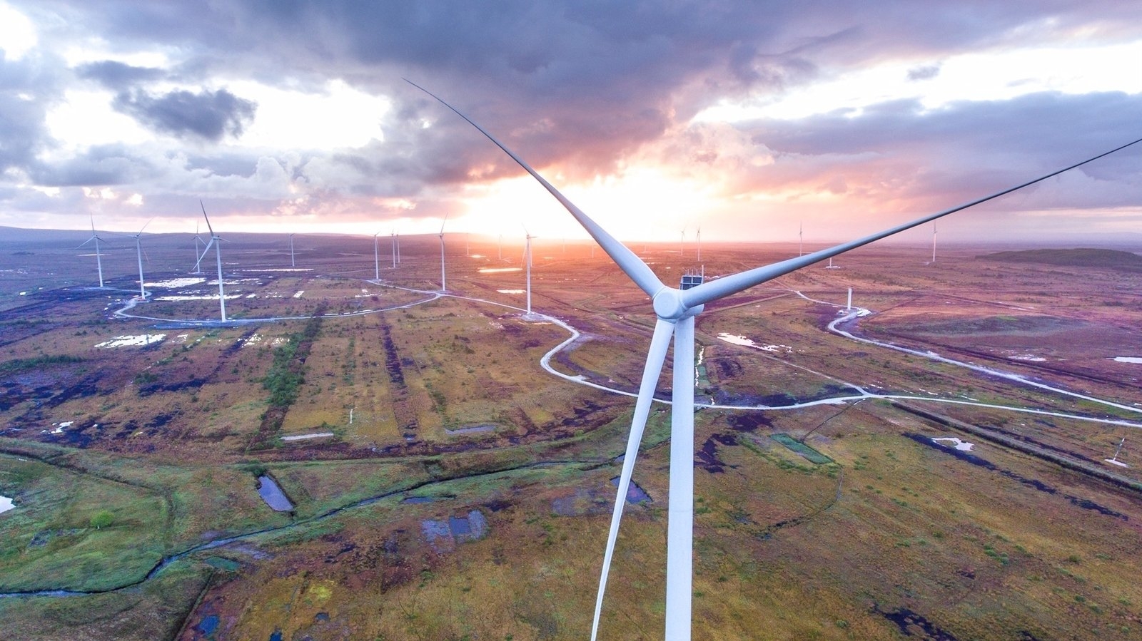 Wind farms provided 33% of Ireland's electricity so far this year
