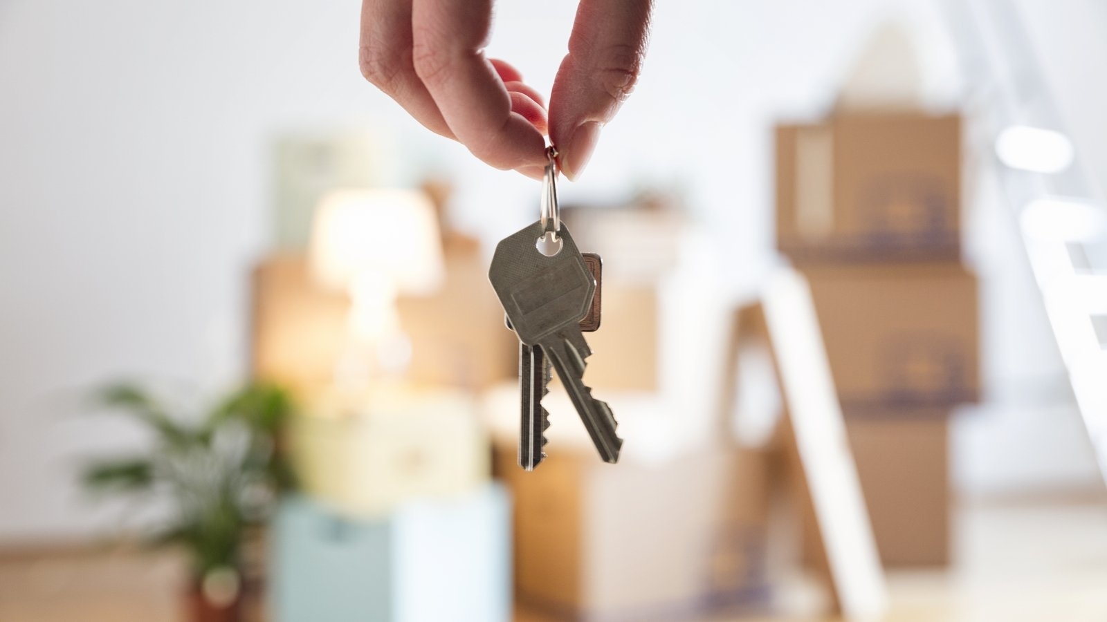 Number of properties available under HAP scheme fell last month