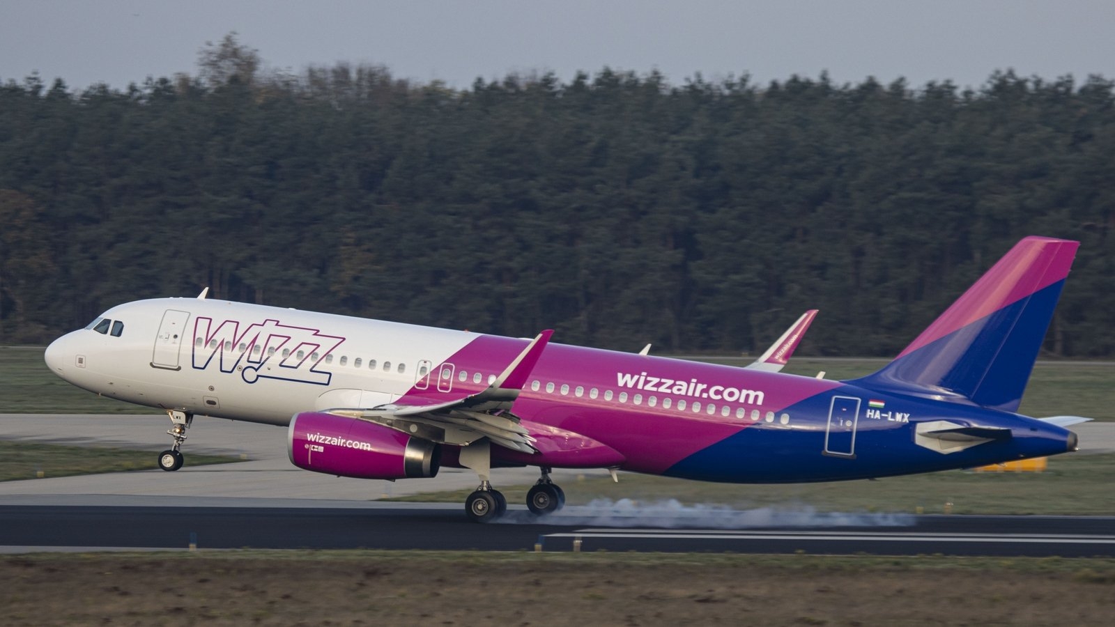 Wizz Air profit slumps on grounded planes, shares tumble
