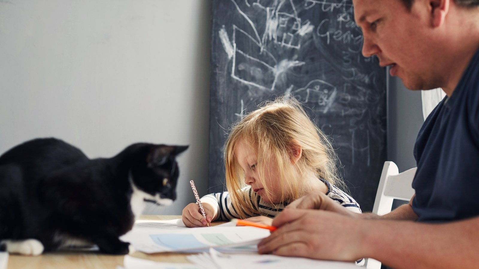 Why are more Irish families choosing to home school their kids?