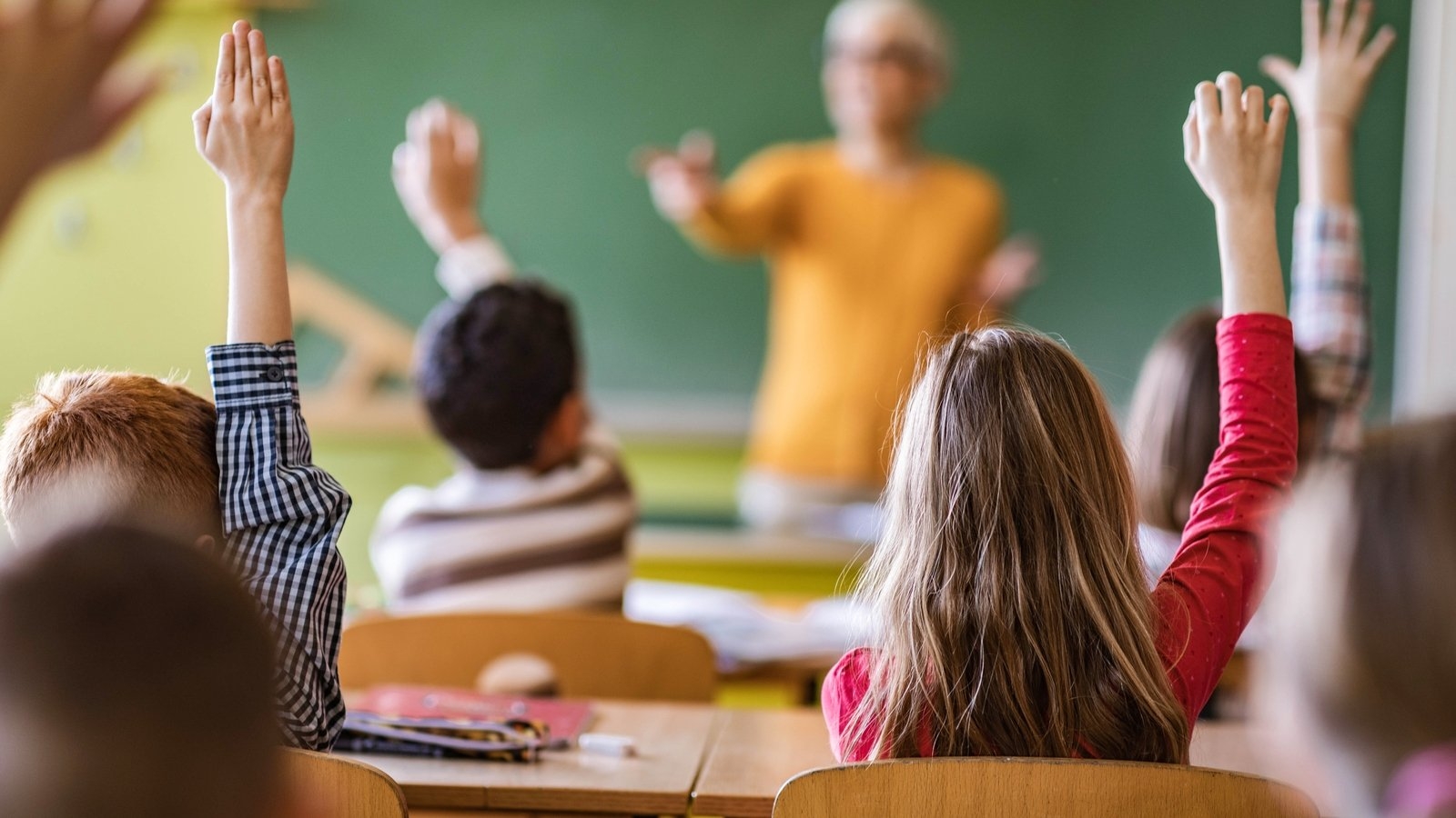 Ministers publish document outlining education plans