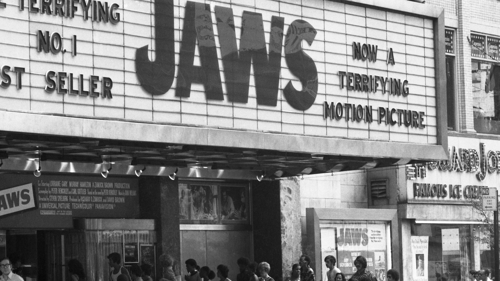 First official Jaws documentary to examine film's impact 50 years on