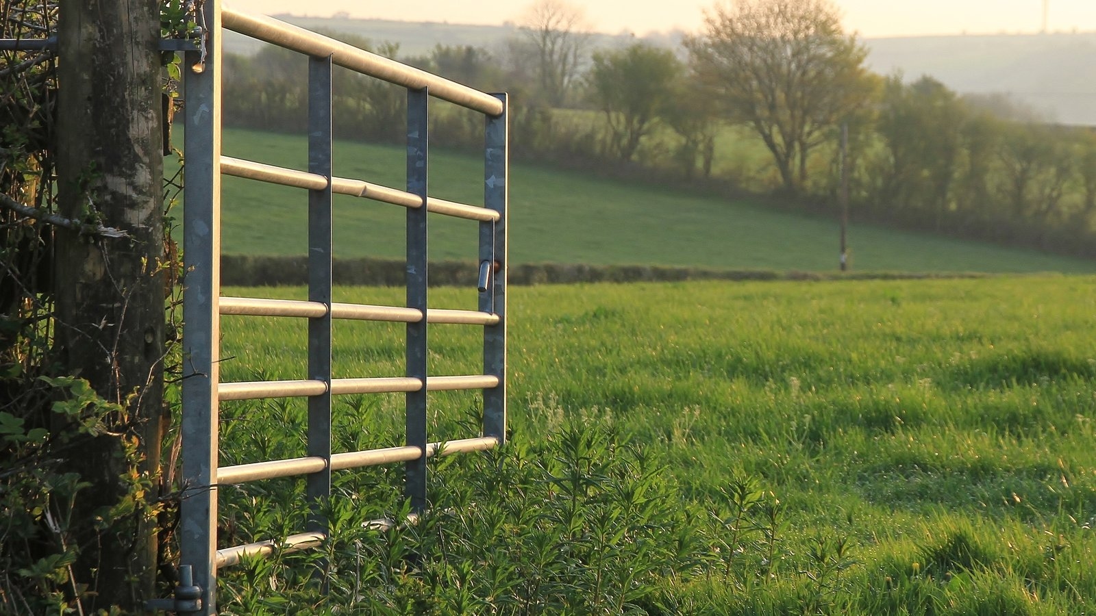 Average farm income up 87% to just under €36,000