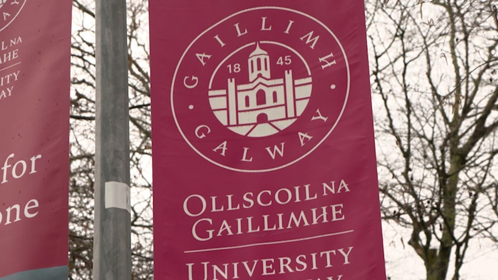 Sinn Féin seeks meeting over Irish language status at Galway university