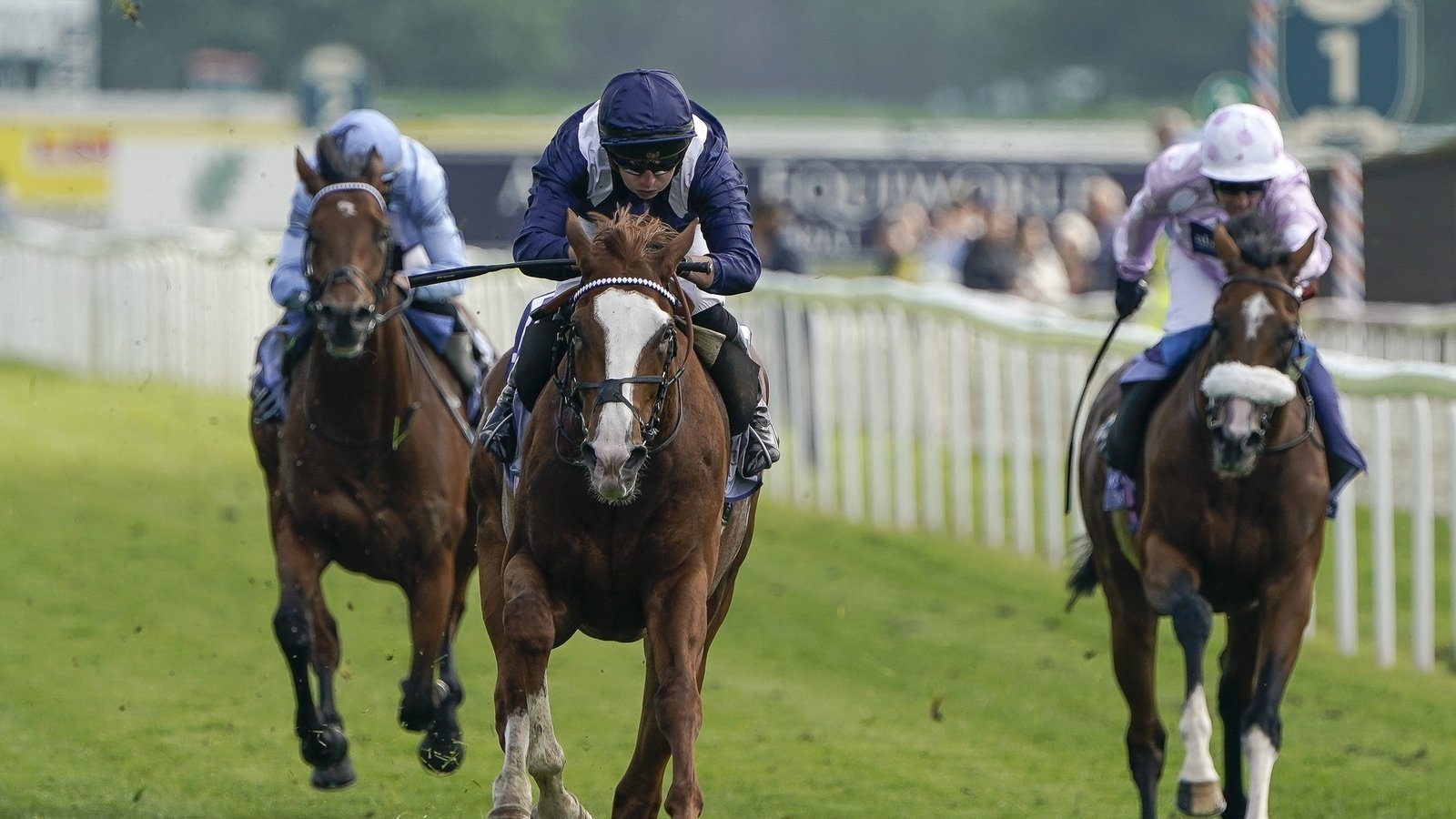 Pulled muscle rules Economics out of Royal Ascot