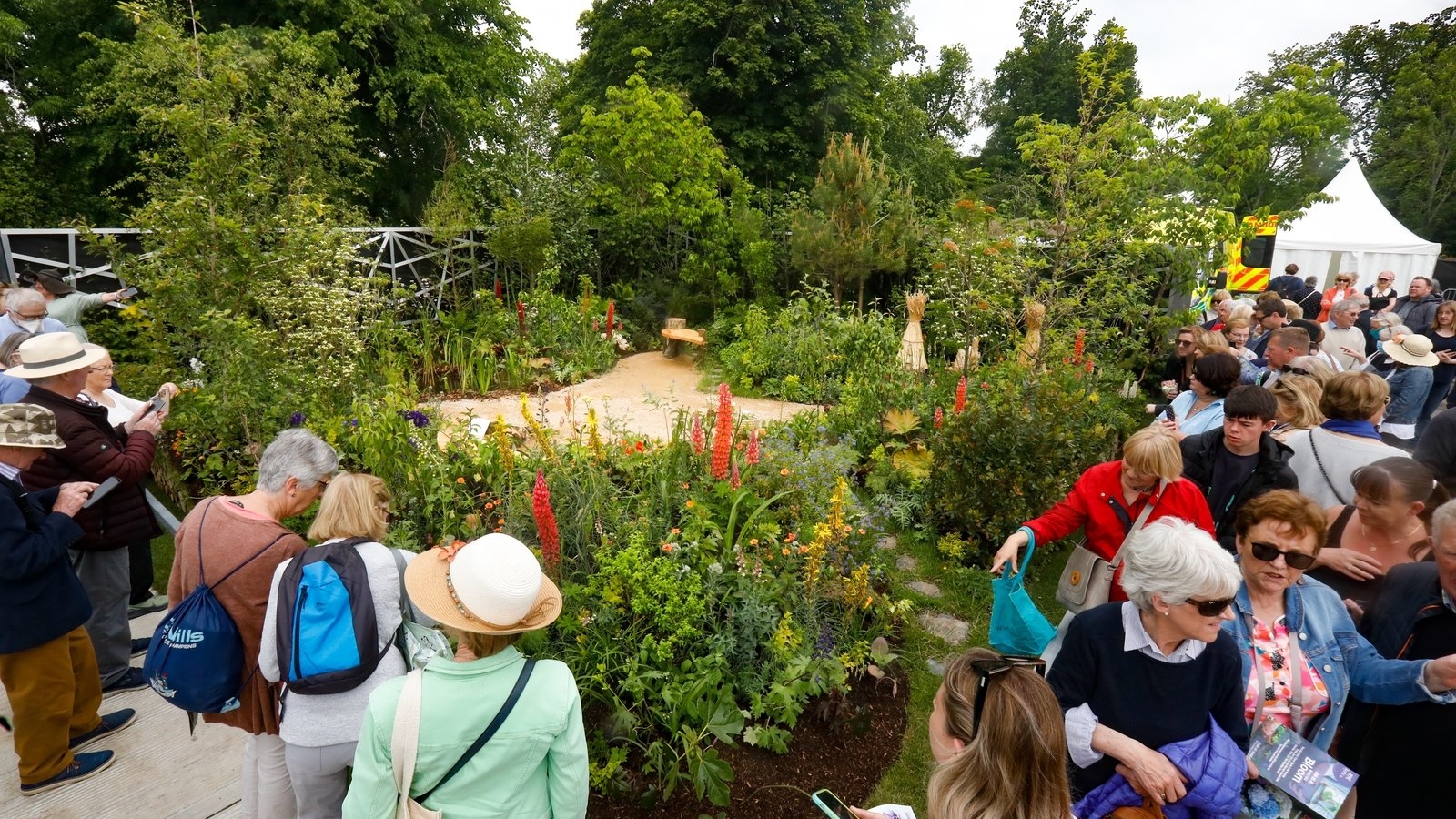 Sustainability and the circular economy main themes of Bloom 2025