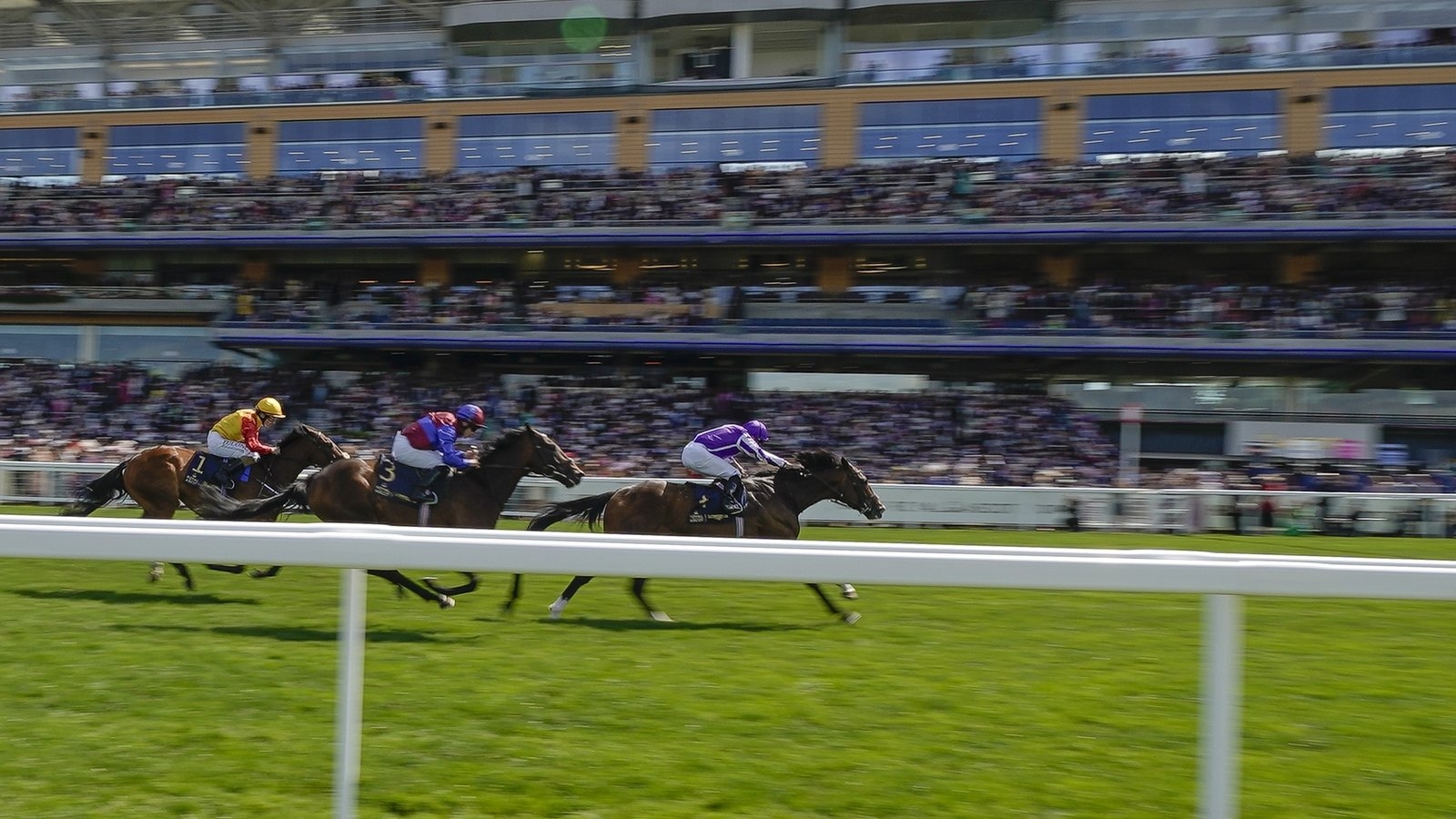 Royal Ascot: Illinois faces seven rivals in Gold Cup