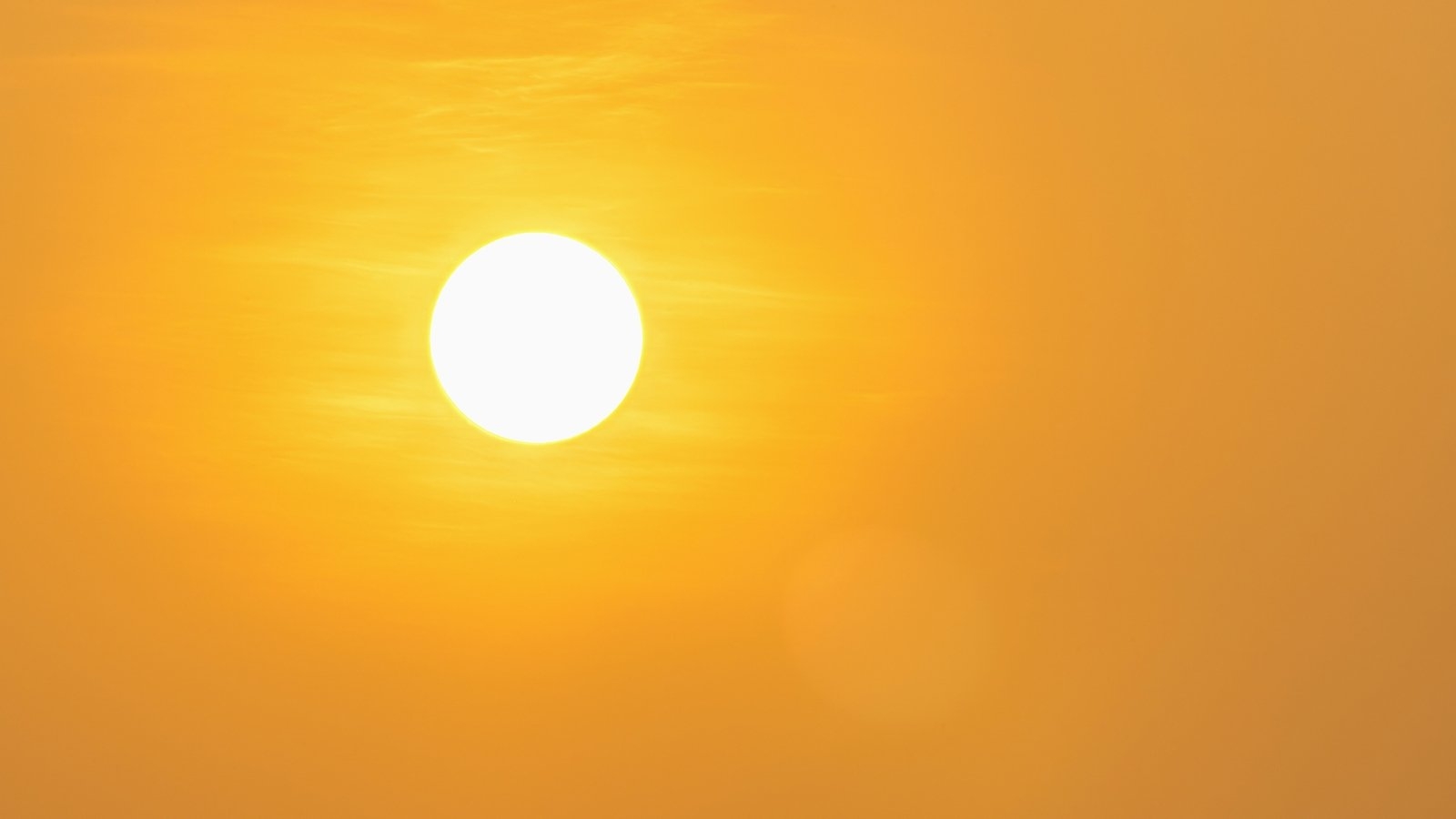 May 2025 second warmest on record