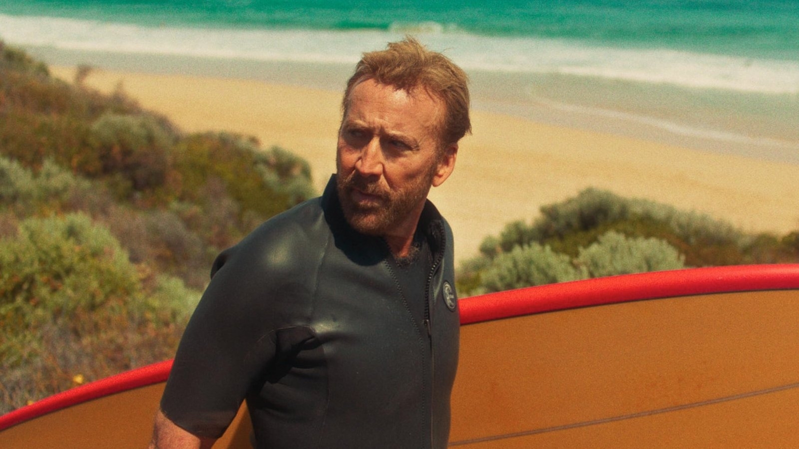 Ego Under the Sun. Nicolas Cage is swell as The Surfer