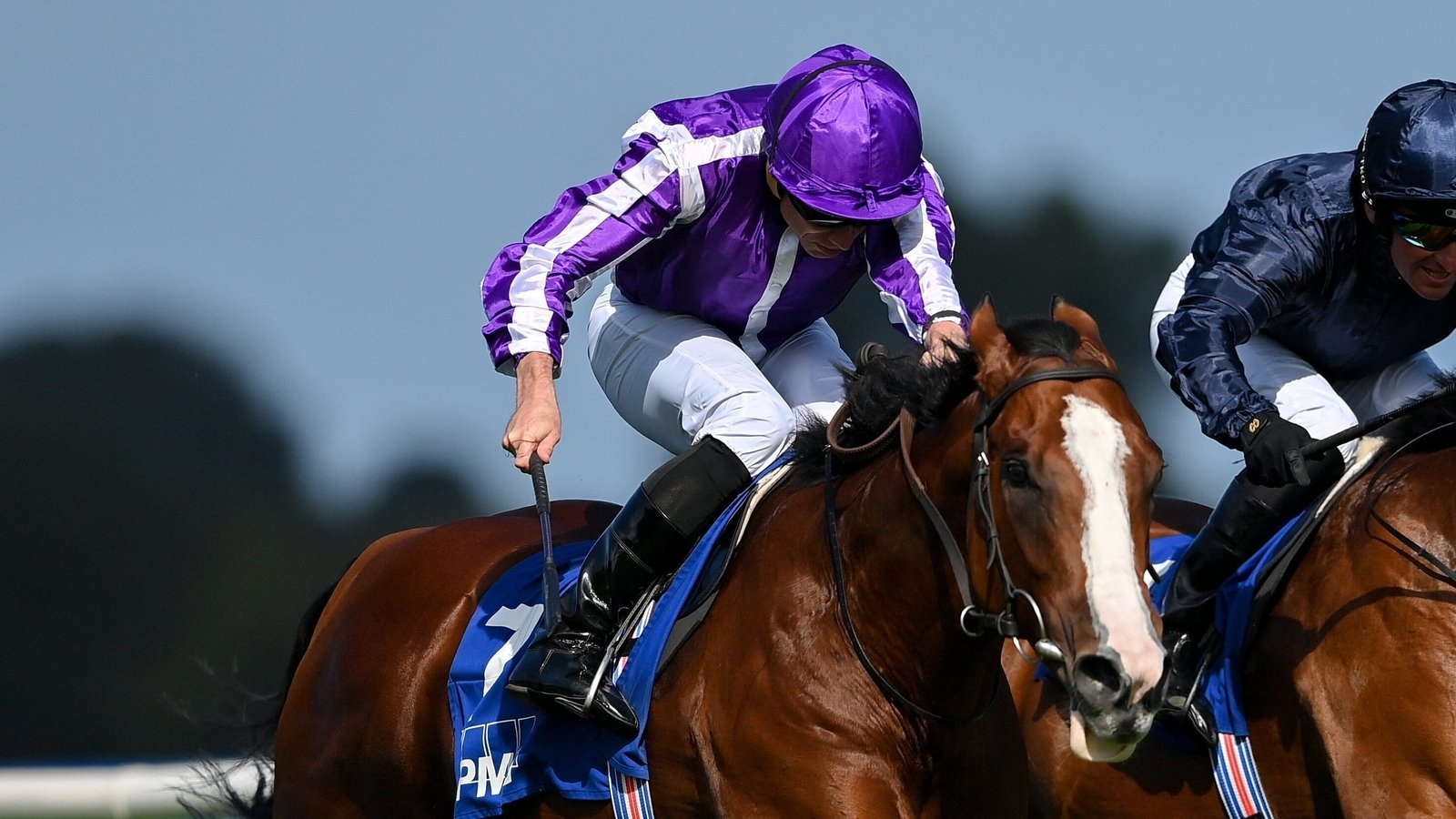 Diego Velazquez sold to Sam Sangster ahead of Jacques le Marois start