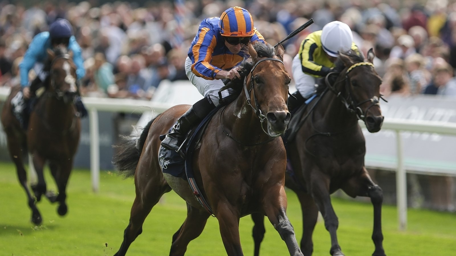 The Lion In Winter bids to make divine return in Dante Stakes