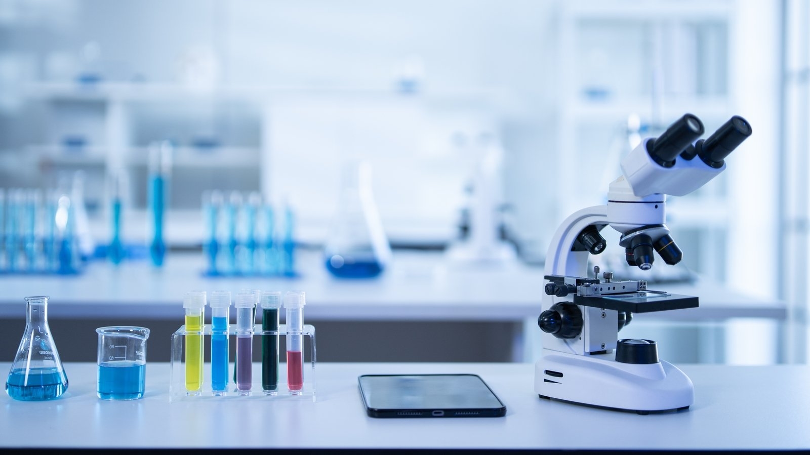 Study Hub 2025: Leaving Cert Science Exam Tips - Biology, Chemistry & Physics