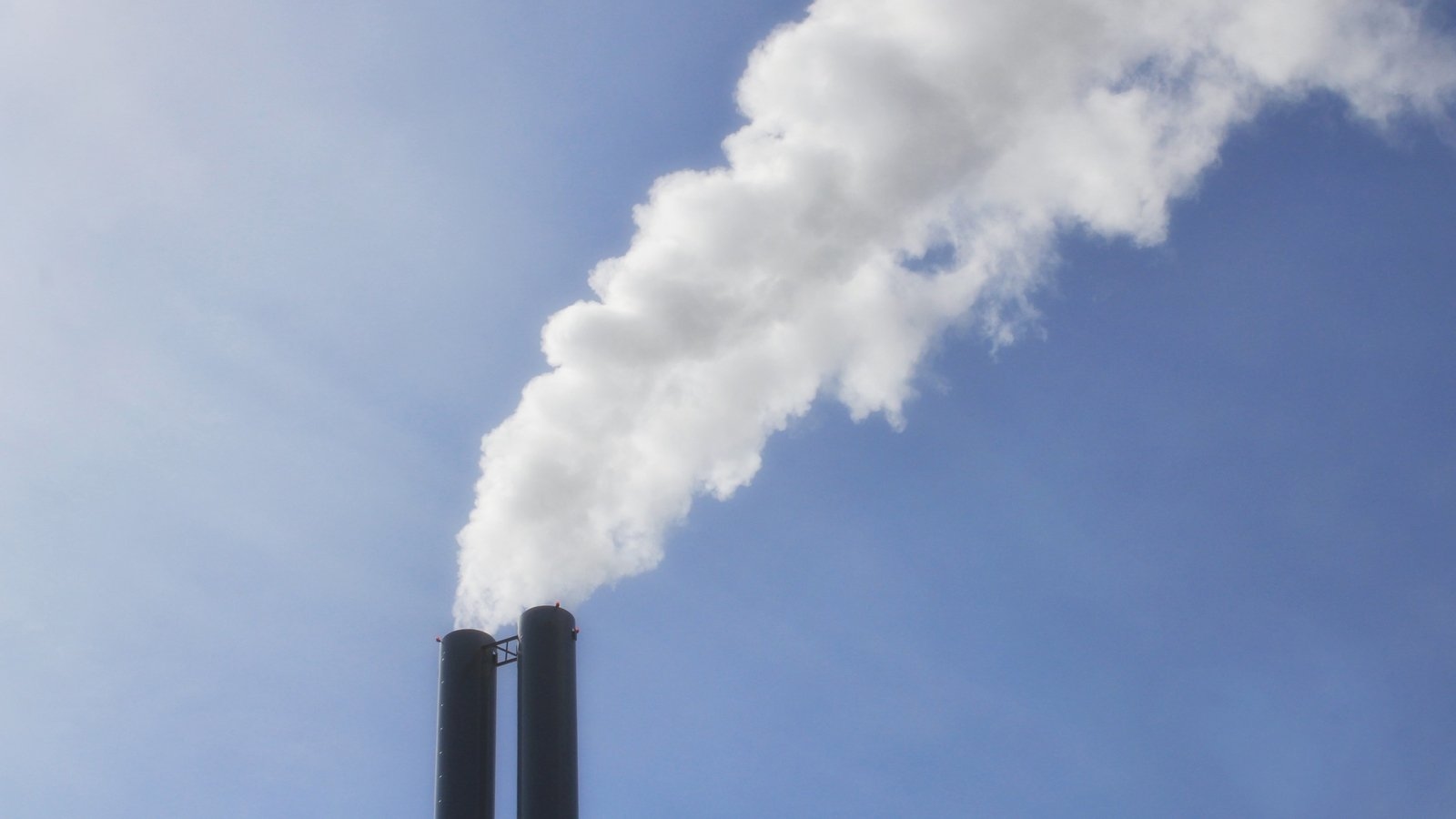 Respondents express 'powerlessness' during climate survey
