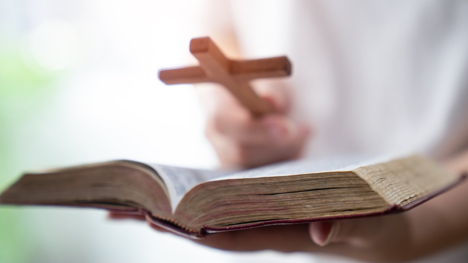 Significant increase in allegations of abuse against Catholic Church members
