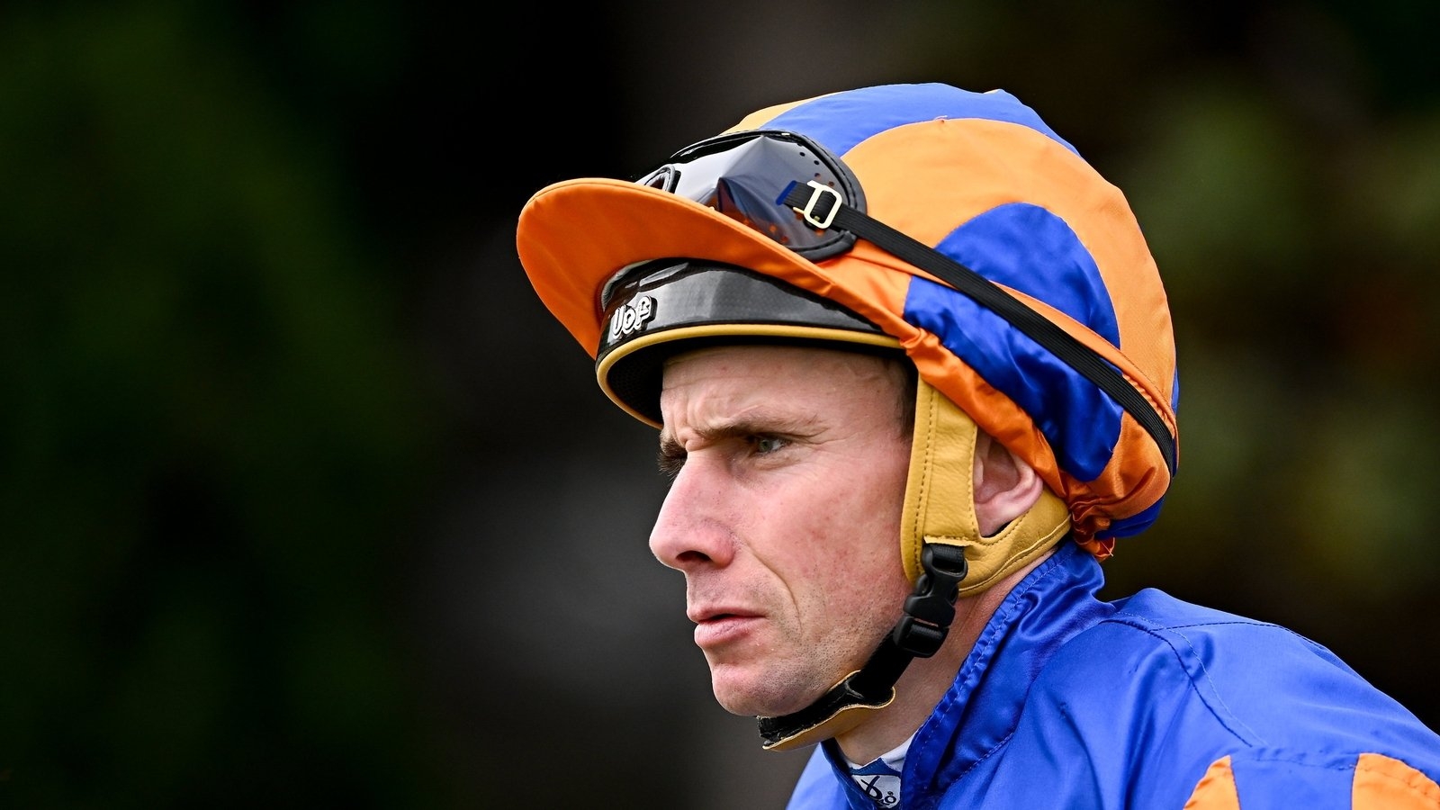 Charles Darwin shows class in Antarctic Race at Naas
