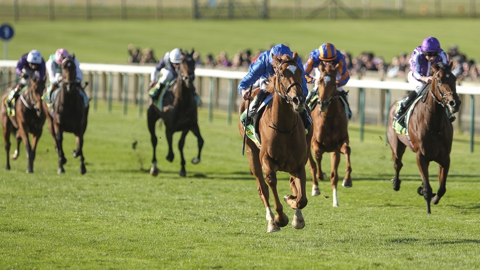 Kieren Fallon expecting big performance from Desert Flower