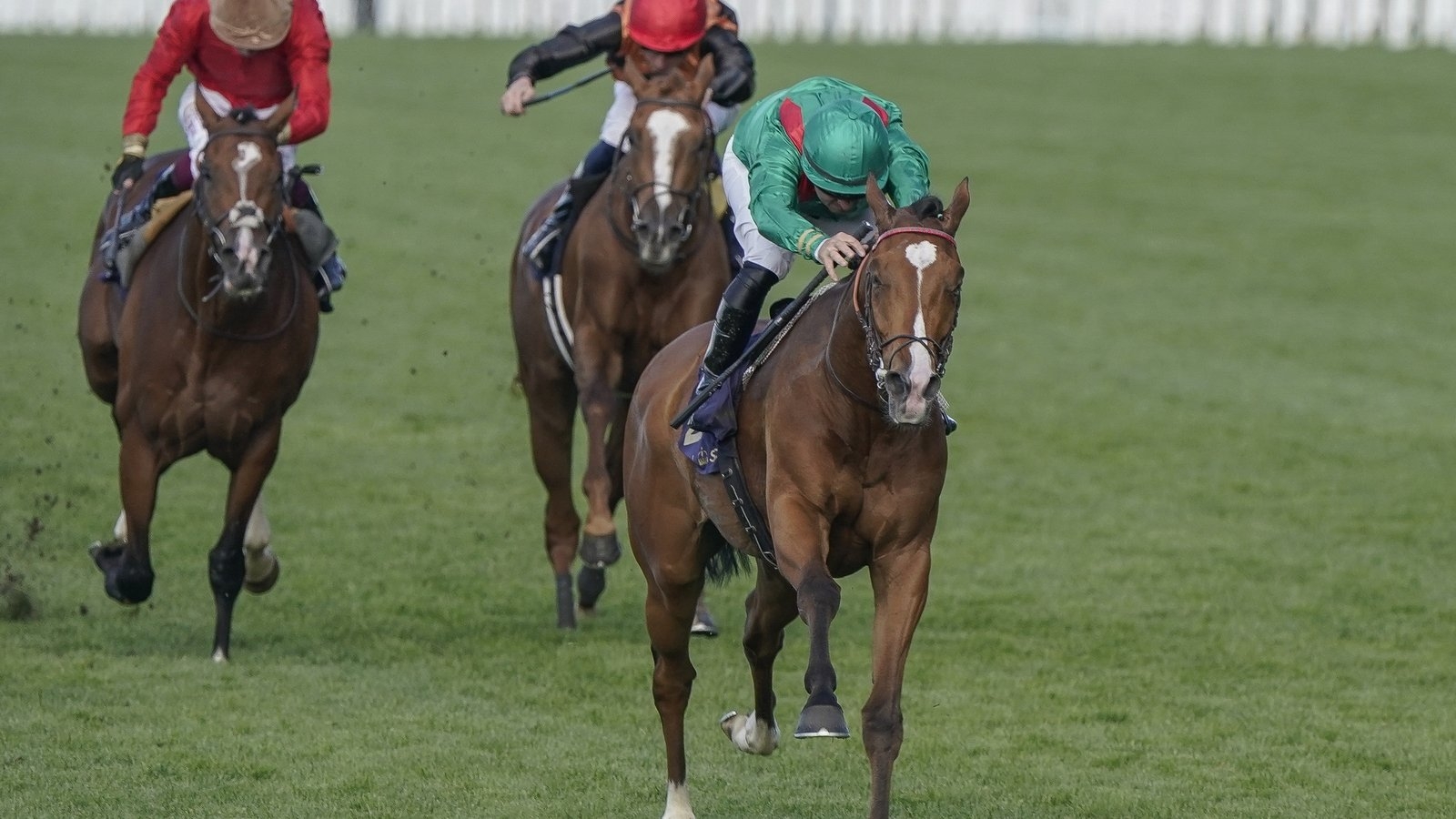 Calandagan favourite to be crowned in Coronation Cup