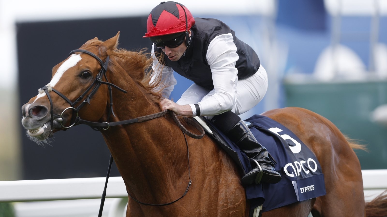Aidan O'Brien concerned despite Kyprios' win at Leopardstown