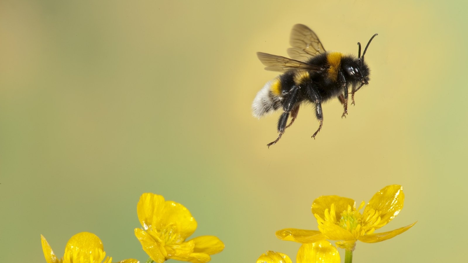 Bloom is set to feature a garden of reimagined waste with Repak