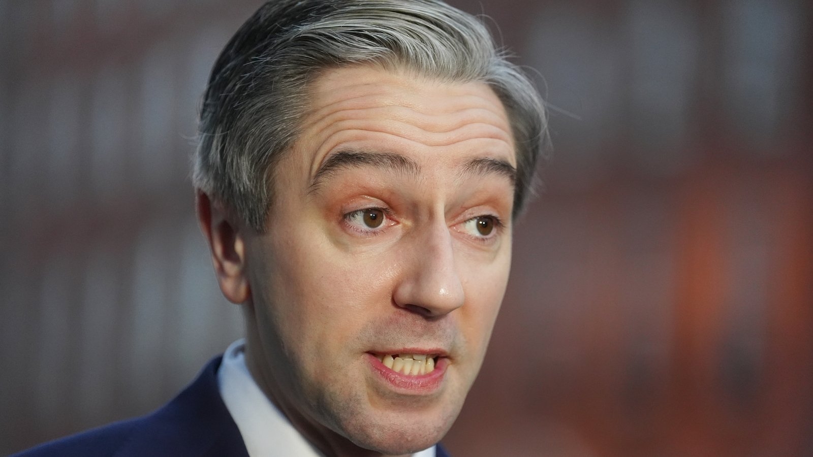 Tánaiste to meet Welsh First Minister Eluned Morgan for annual forum
