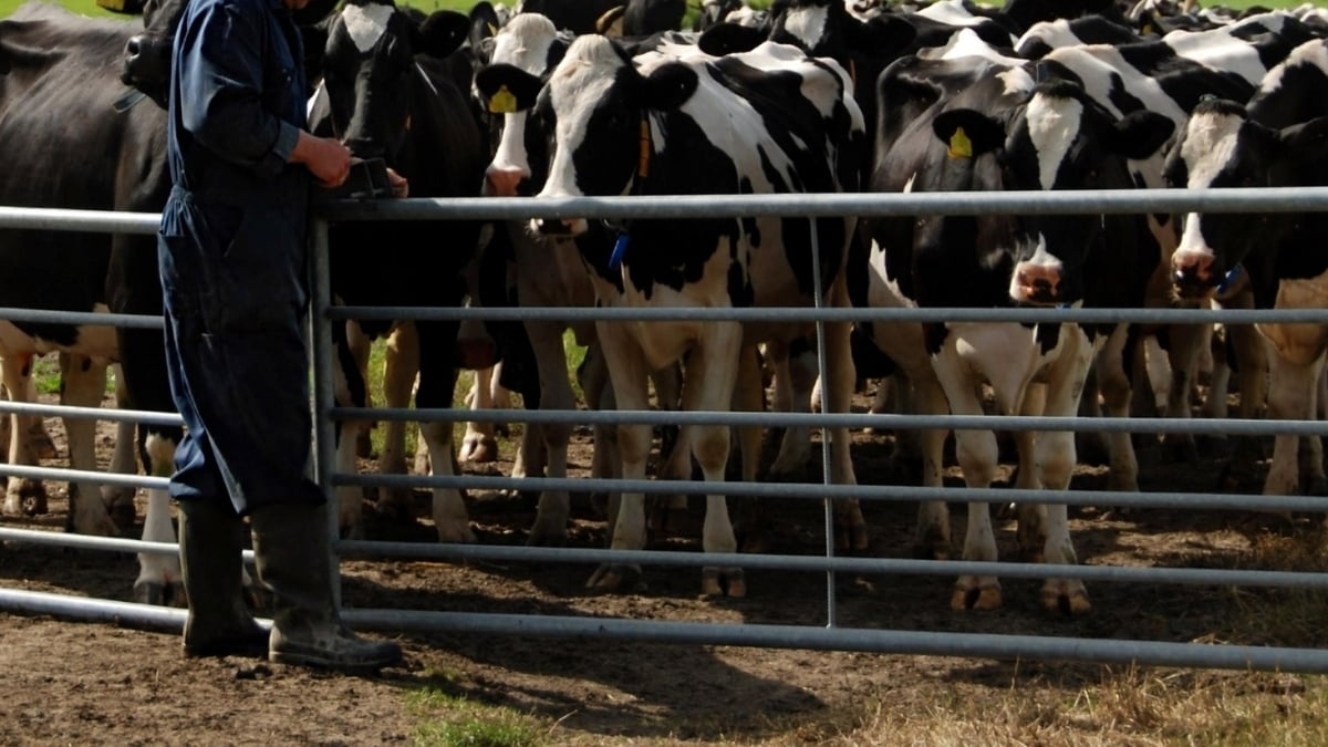 Programme launched to address health among farmers