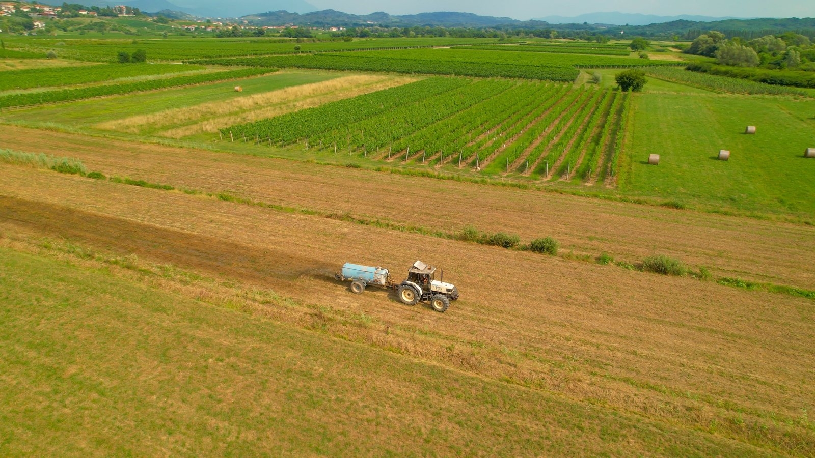 Can a simple calendar help farmers tackle climate change?
