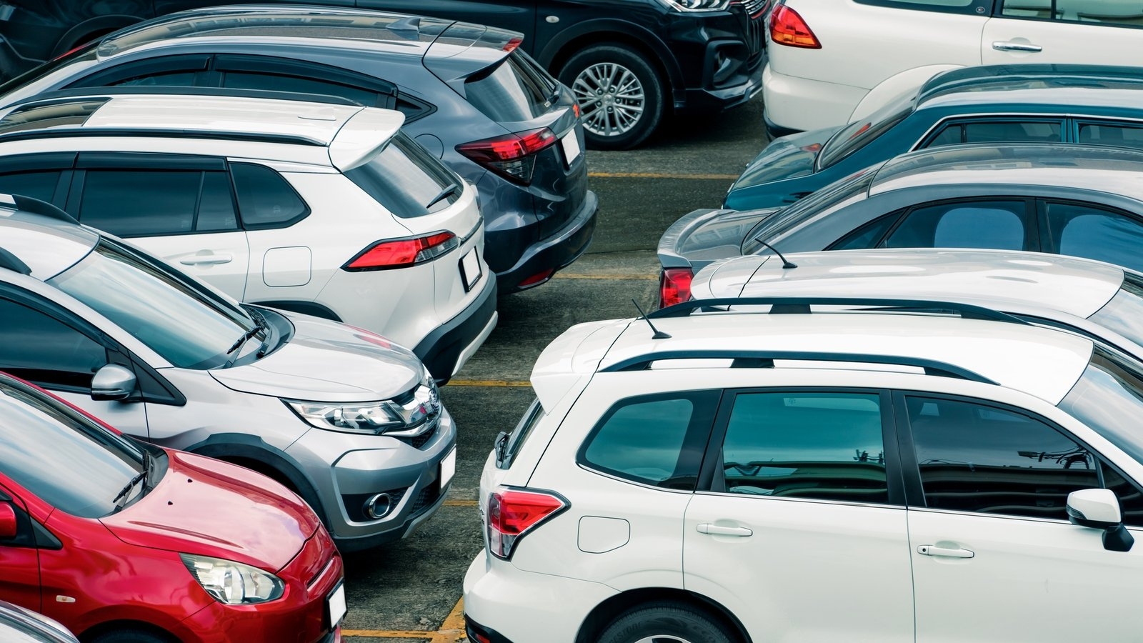 Campaign groups concerned over rising heights of car bonnets