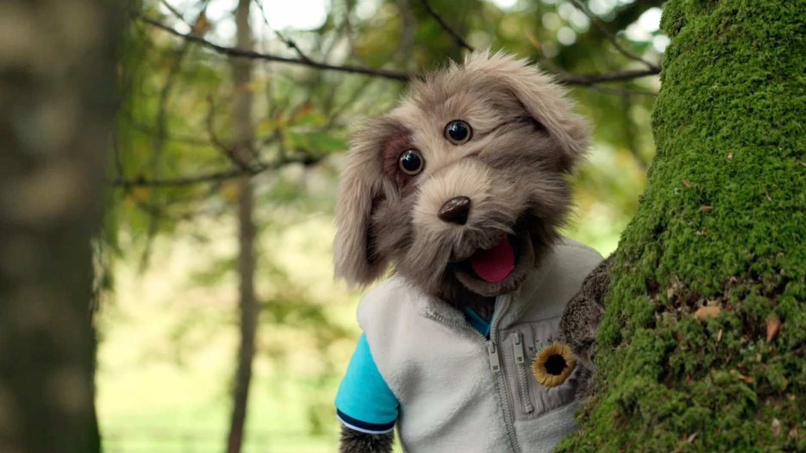Séamus Goes Wild: The RTÉ children's show where a curious pup meets the animals all around us