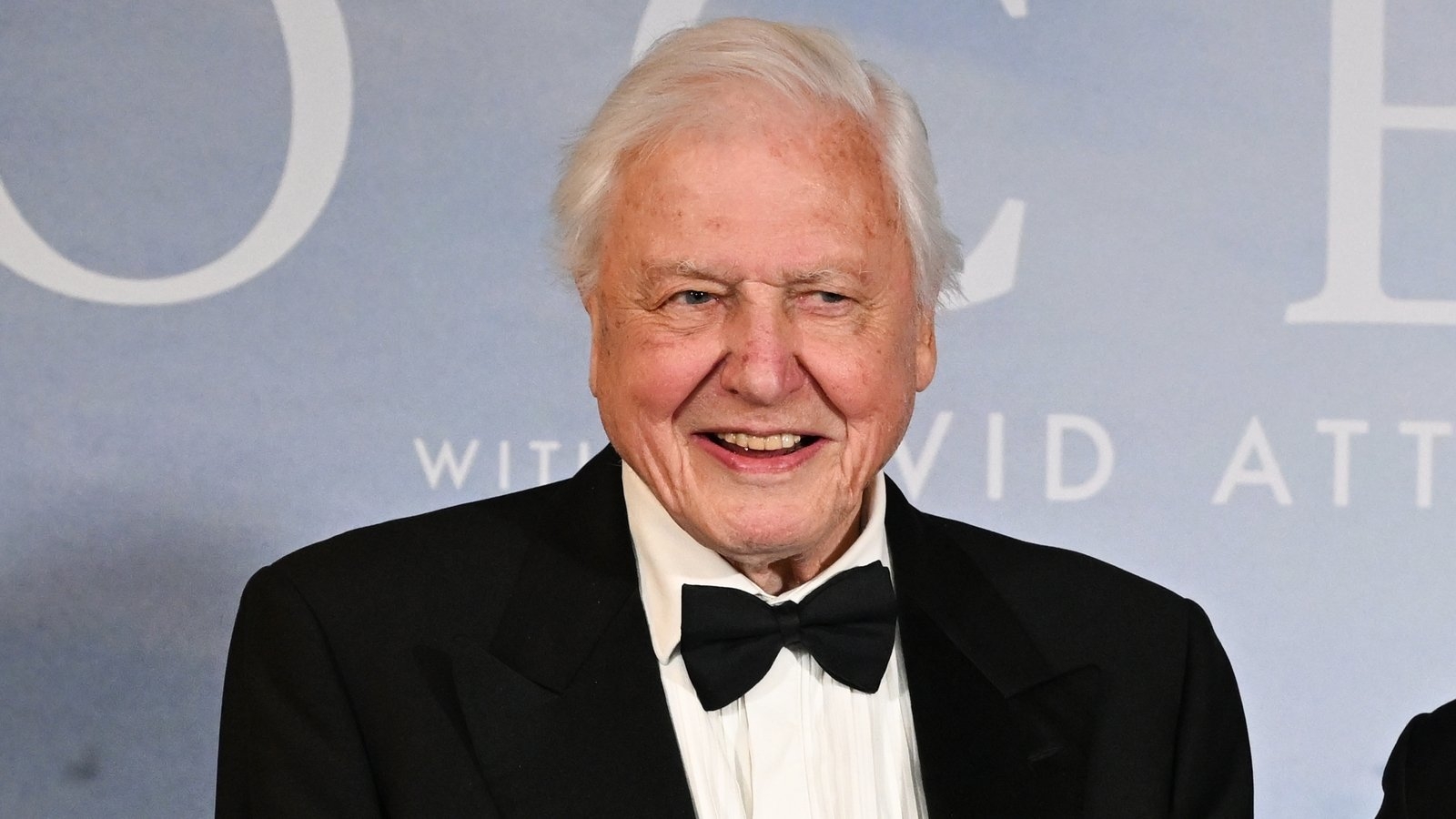 David Attenborough's 'global legacy' celebrated as broadcaster turns 99