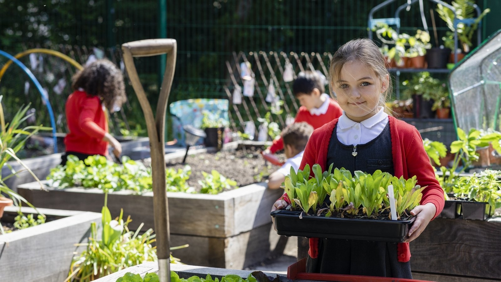 733 schools across Ireland receive Green Flags for sustainability