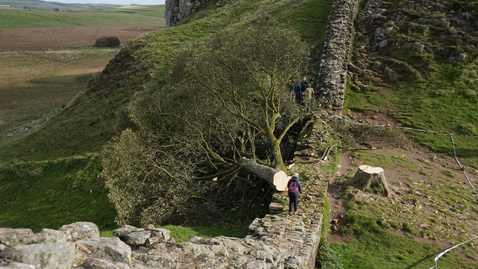 Men jailed for felling Britain's iconic Sycamore Gap tree