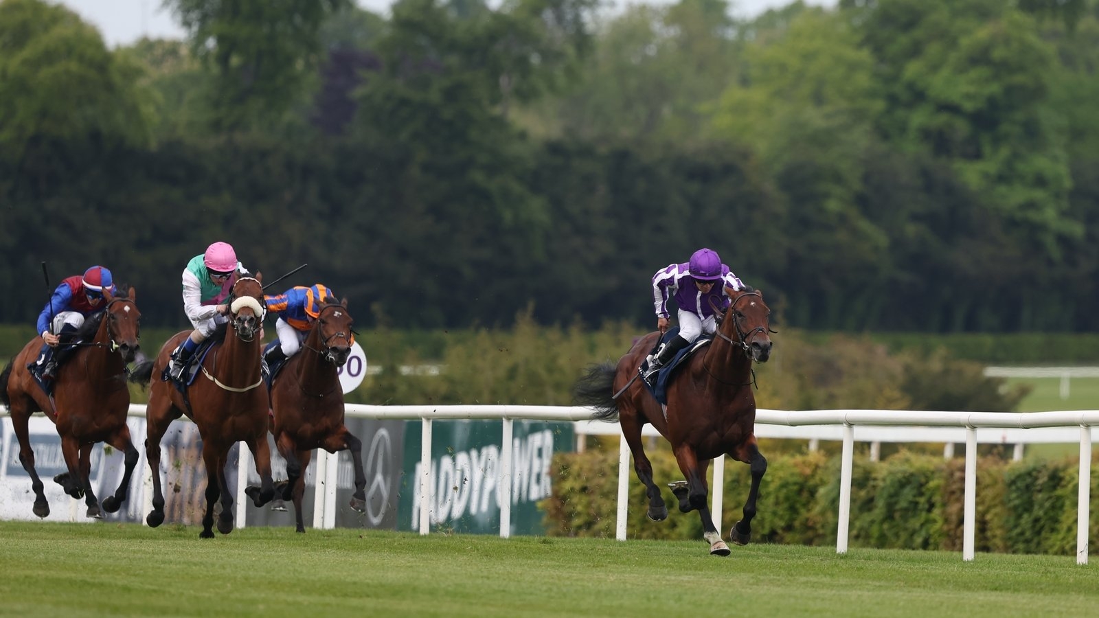 Delacroix dashes to Derby Trial win at Leopardstown