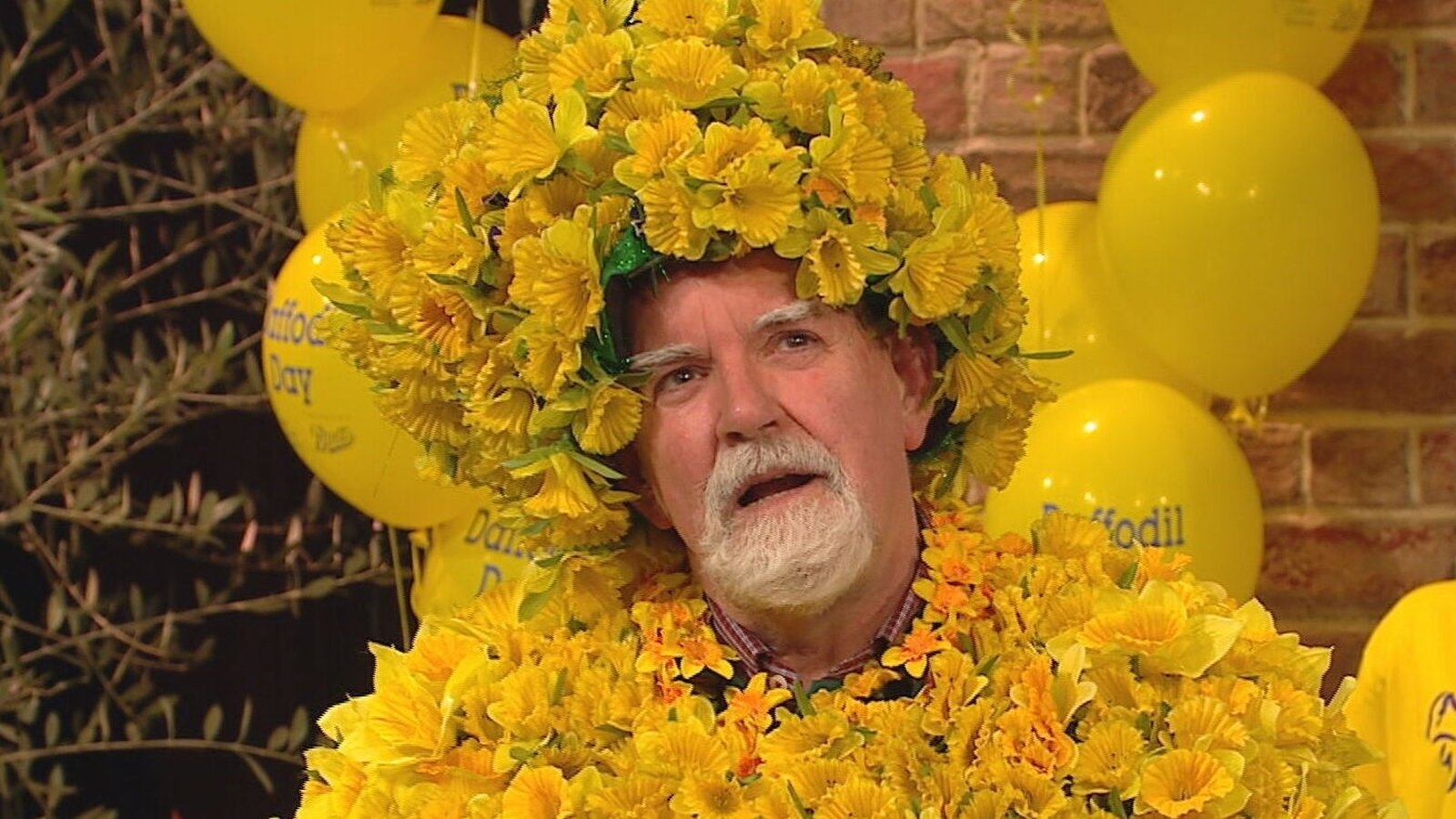Victim recognised sex offender during Late Late Show appeal for cancer society