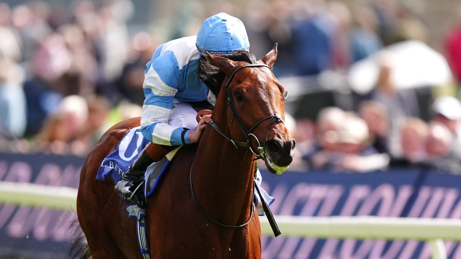 Pride Of Arras bids to bounce back from abject Epsom display in Irish Derby at the Curragh