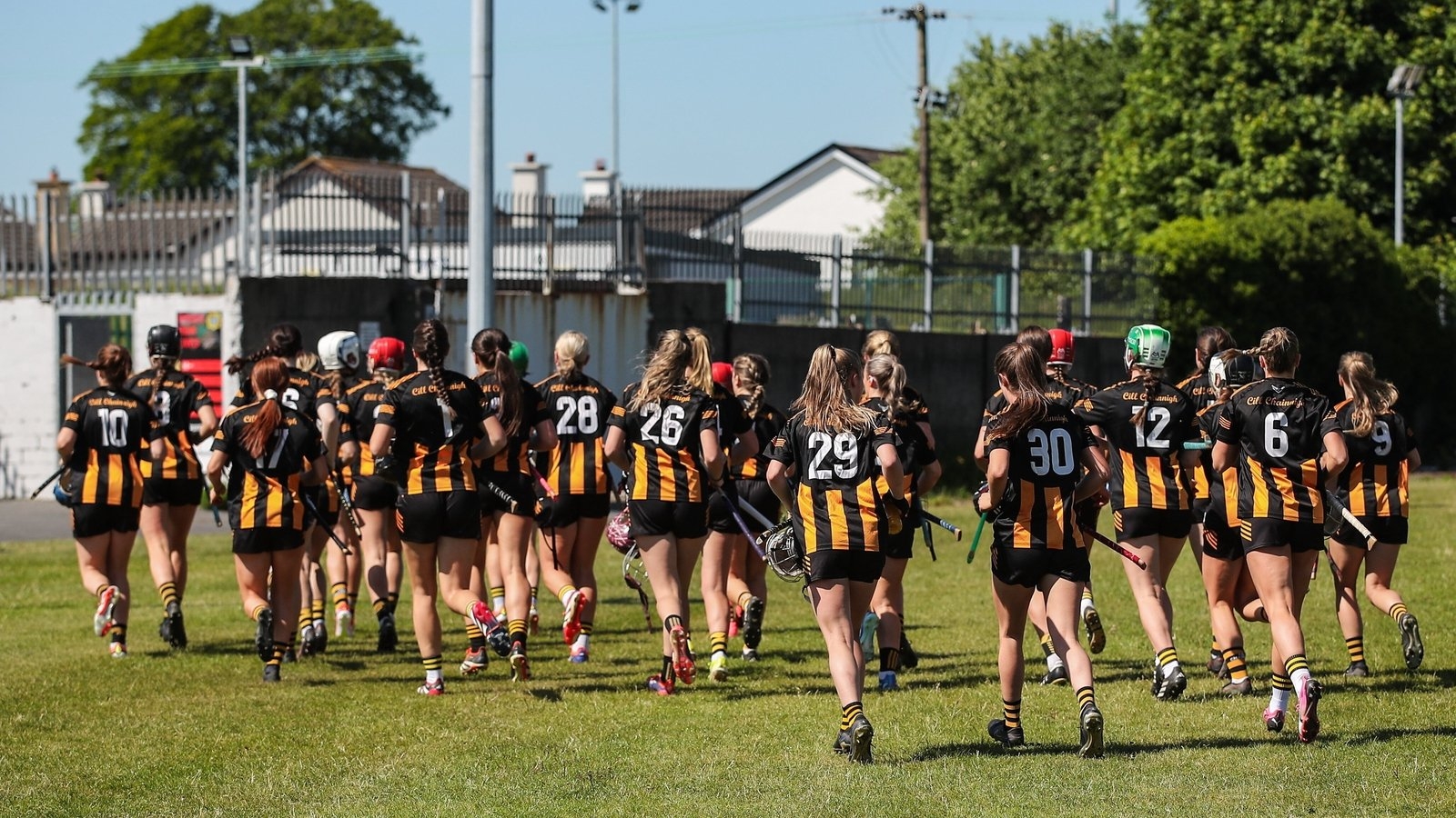 Leinster camogie final throws in after planned protest