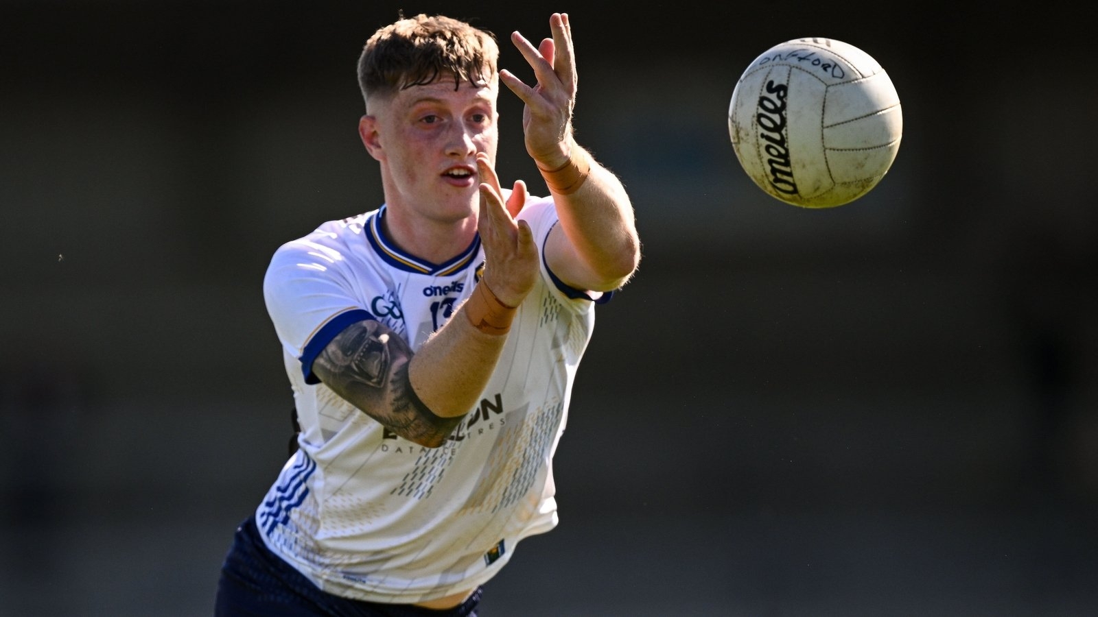 Wicklow prove too strong for Laois in Aughrim