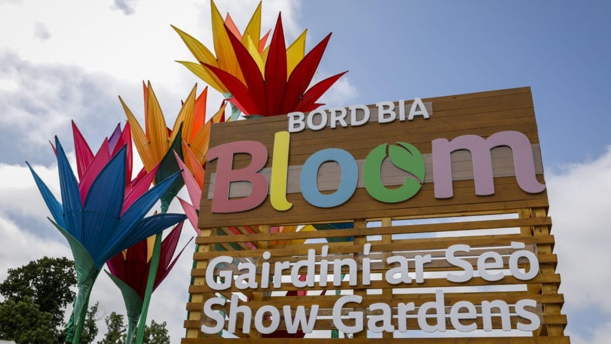 Bloom gets under way at Dublin's Phoenix Park today