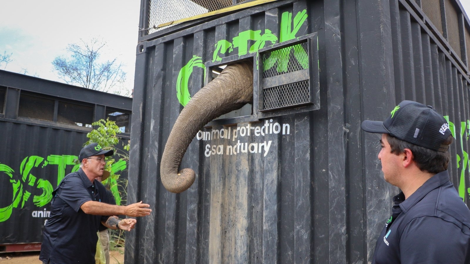 Mexican refuge evacuates 700 animals over cartel violence
