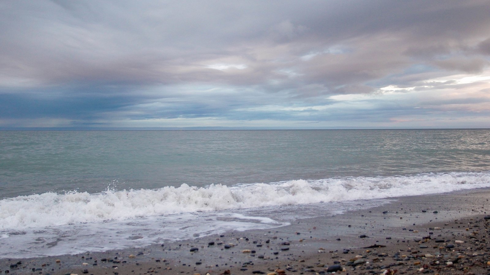 Marine heatwave occuring in Irish waters, scientists say