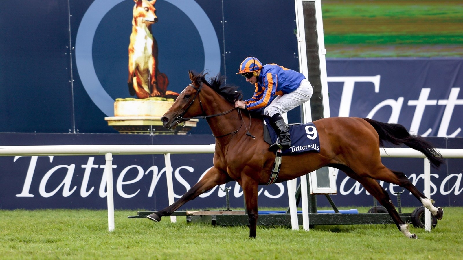 Lake Victoria claims victory in Irish 1,000 Guineas at The Curragh as Los Angeles takes Gold Cup